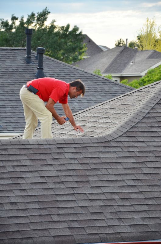 Expert Roof Repair Technician